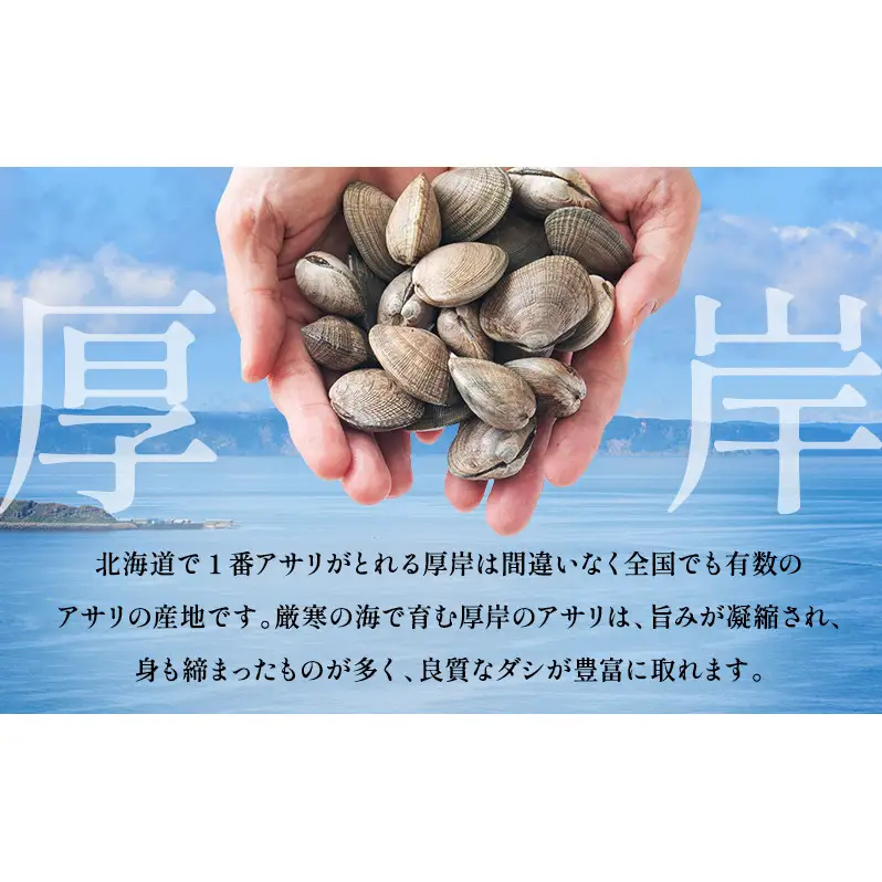 【3カ月 定期便 】訳あり 北海道 厚岸産 砂出し済み 活あさり 1kg×2 (合計2kg) 【厚岸海産】[ アサリ 魚貝 海鮮 大粒 美味しい 栄養 旨み 砂出し 水洗い 冷蔵 便利 ]