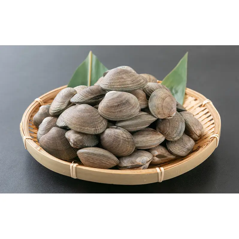 厚岸町 特産品 少量サイズ 4ヵ月 ちょこっと 定期便 【牡蠣 かき むき身 あさり アサリ たらこ タラコ 切子 カレー 魚貝類 海の幸 レトルト】
