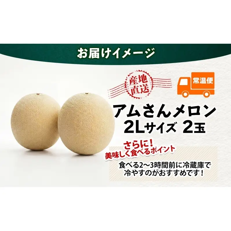 青森県産 つがりあんメロン 「アムさん」 2Lサイズ 2玉 完熟 甘い ジューシー ハウス栽培 弘果弘前中央青果 産地直送 メロン フルーツ 果物 ギフト 贈答 青森県 鶴田町