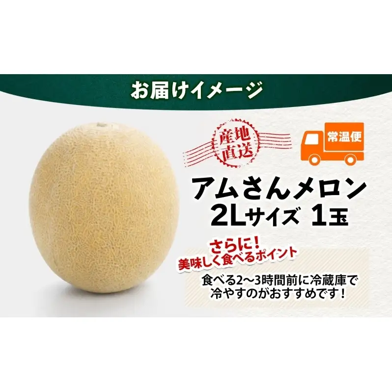青森県産 つがりあんメロン 「アムさん」 2Lサイズ 1玉 完熟 甘い ジューシー ハウス栽培 弘果弘前中央青果 産地直送 メロン フルーツ 果物 ギフト 贈答 青森県 鶴田町