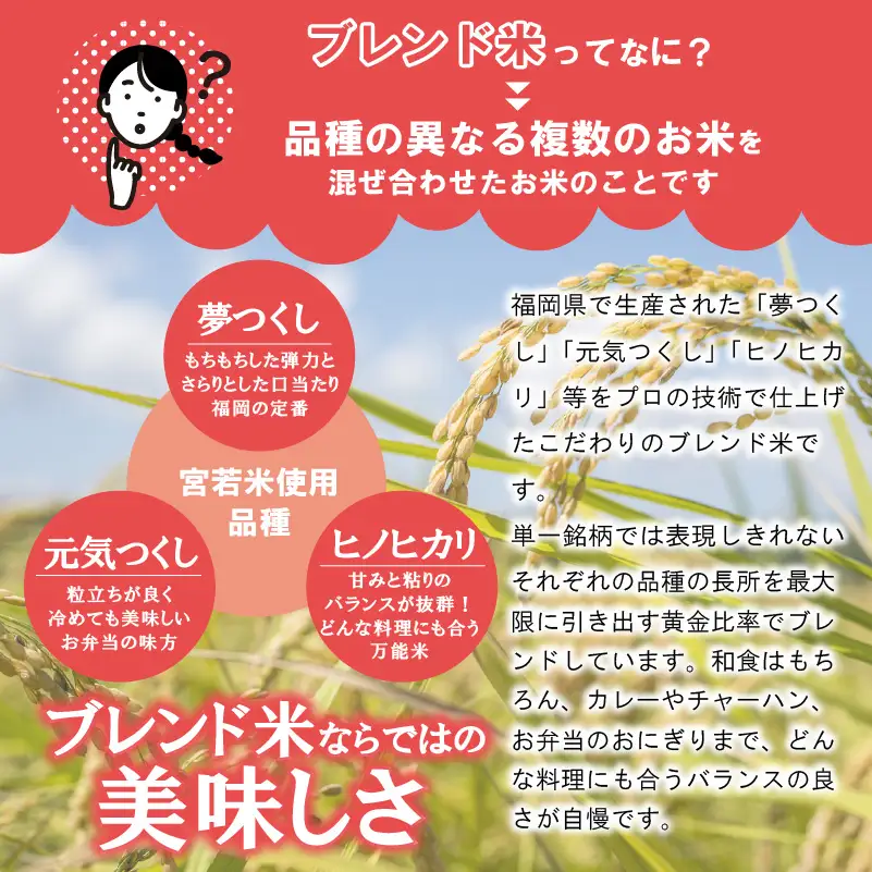 宮若米(ブレンド米) 精米 10kg [M992] 
