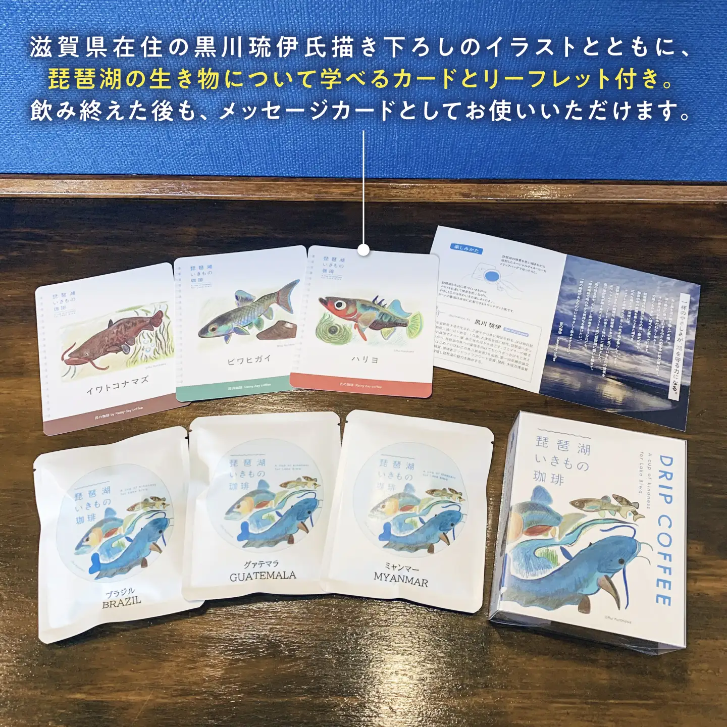 ドリップコーヒー 琵琶湖いきもの珈琲 3セット[AQDM008]ドリップコーヒー