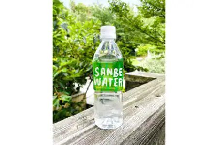 サンベウォーター（国立公園三瓶山の天然水） 【 天然水 水 500ml 24本 ミネラルウォーター シリカ水 鉱水 みず ペットボトル 】