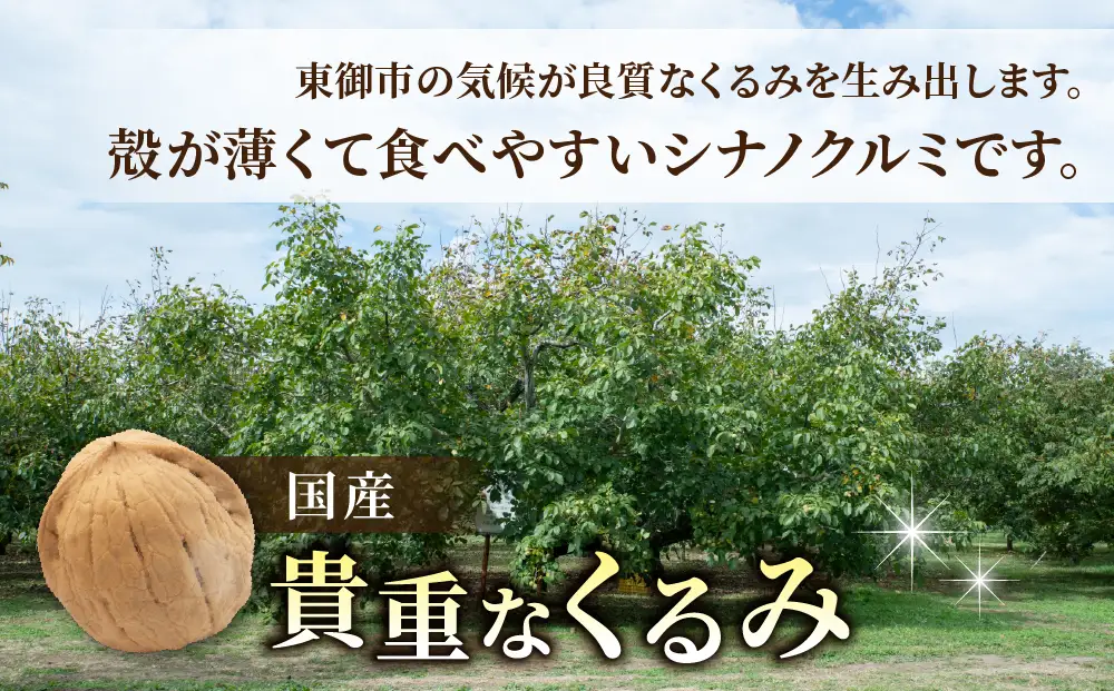 大容量！剥きくるみ2kg 【無塩・無油】（2025年収穫分）｜JA信州うえだ東部地区営農課 胡桃 信濃くるみ ナッツ おつまみ おやつ 国産 信州 長野県東御市
