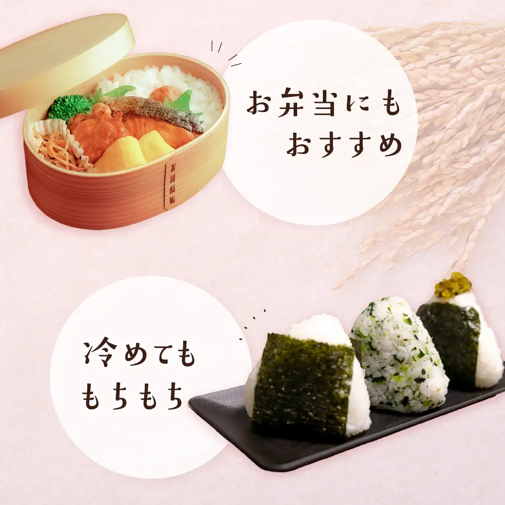 （即納）コシヒカリ 湯けむり日和  5kg×1（下呂市萩原町産）【113-12】