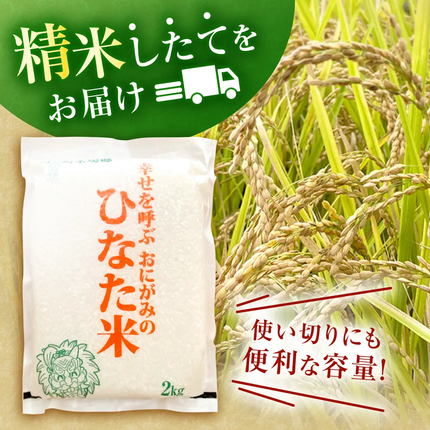 【生活応援キャンペーン中！！】 【R7年度産米】 棚田米『ひなた米』 10kg (2kg×5袋) 【木場中山間管理組合】[OCM997]