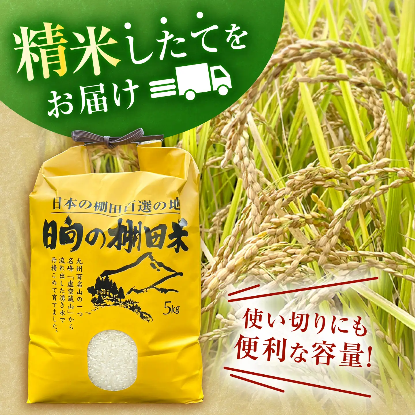 【R7年度産米】 棚田 米 10kg  [OCM999] 米