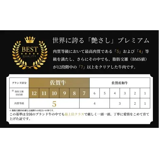 【全6回定期便！総計1.8kg】佐賀牛ヒレ定期便 300g 偶数月【有田まちづくり公社】佐賀牛 牛肉 黒毛和牛 厳選 希少部位 お肉 おにく フィレ ヒレステーキ 定期便 ギフト 贈り物 贈答 24万円 N240-6