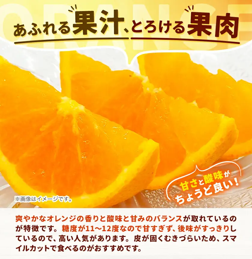 オレンジ 濃厚 清見オレンジ 約5kg