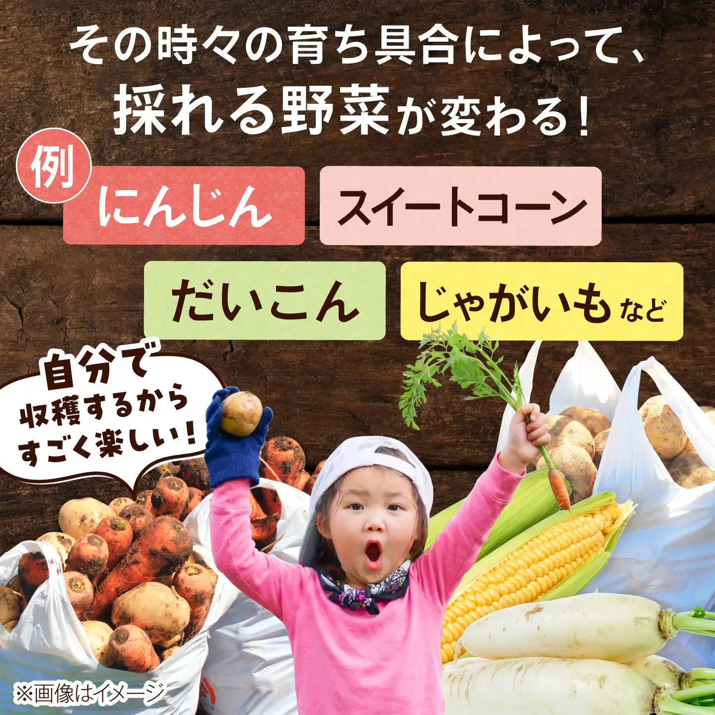 【北海道外の方限定】【9月6日開催】真狩村を大満喫！ いも掘り会場優先入場券付き マッカリーナペア宿泊券 1枚（2名様）[BPAK004] 宿泊券 体験 北海道