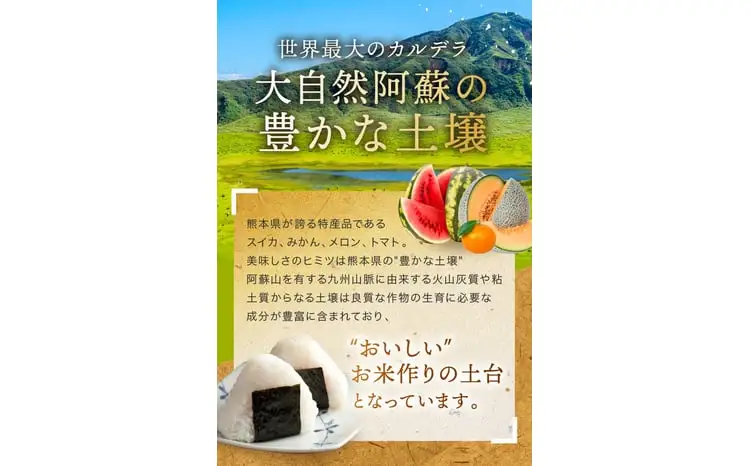 【定期便12回】熊本県産 無洗米 ほたるの灯り 5kg