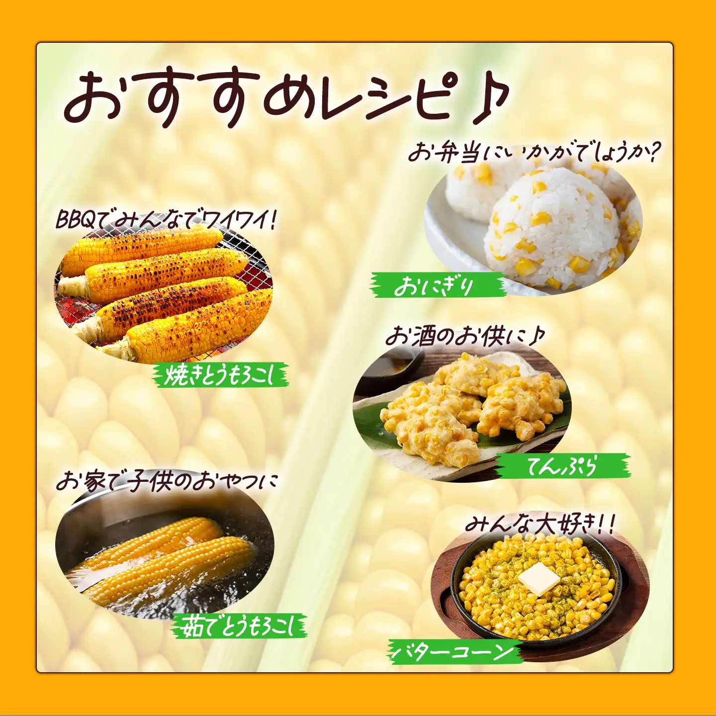 朝採りとうもろこし 10㎏ 先行予約 とうもろこし