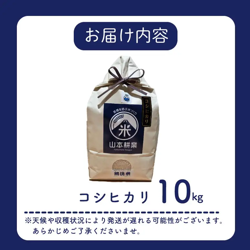コシヒカリ 10kg 牧之原市 静岡県 山本耕業