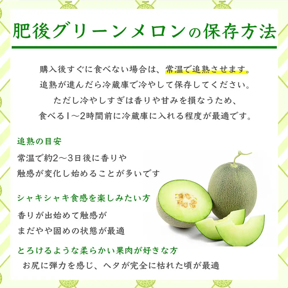 肥後グリーンメロン 約7kg（L以上）【2026年5月上旬～2026年7月下旬配送予定】