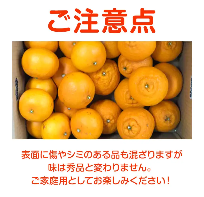 せとか&不知火の味くらべ 約5kg