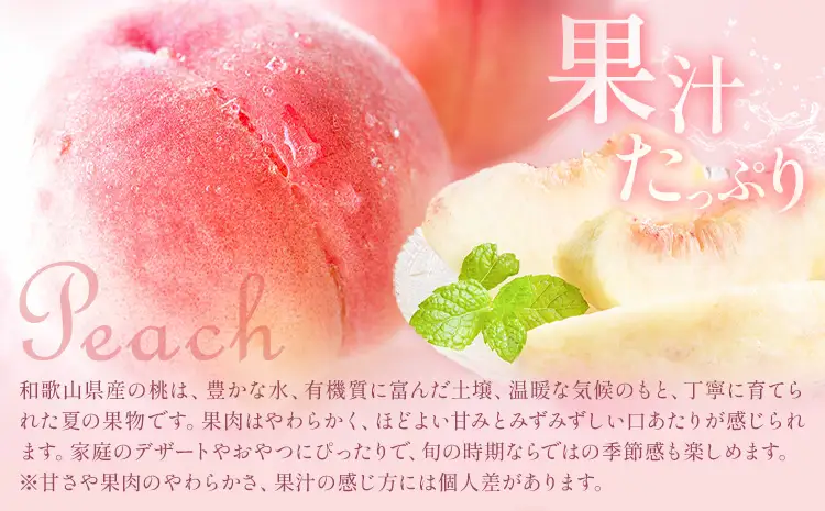 旬の フルーツ セット 3ヶ月定期便 6月・7月・8月配送 すいか 1玉 桃 約1.8kg 梨 約2kg 