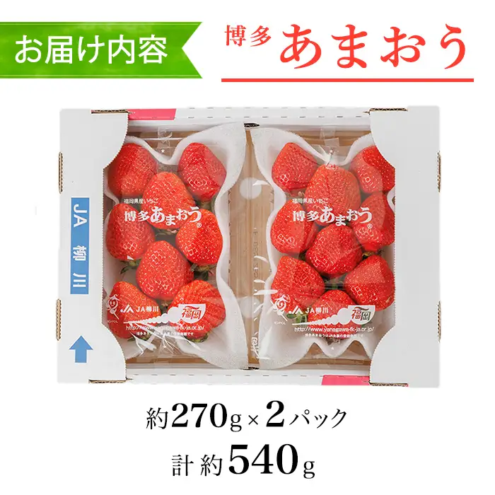 ＜数量限定・先行予約受付中！2026年12月中旬より順次発送＞福岡県産苺「あまおう」グランデ以上(計約540g)いちご 苺 フルーツ 果物 くだもの 福岡限定 家庭用 冷蔵 ＜離島配送不可＞【ksg1891】【hurrah.】