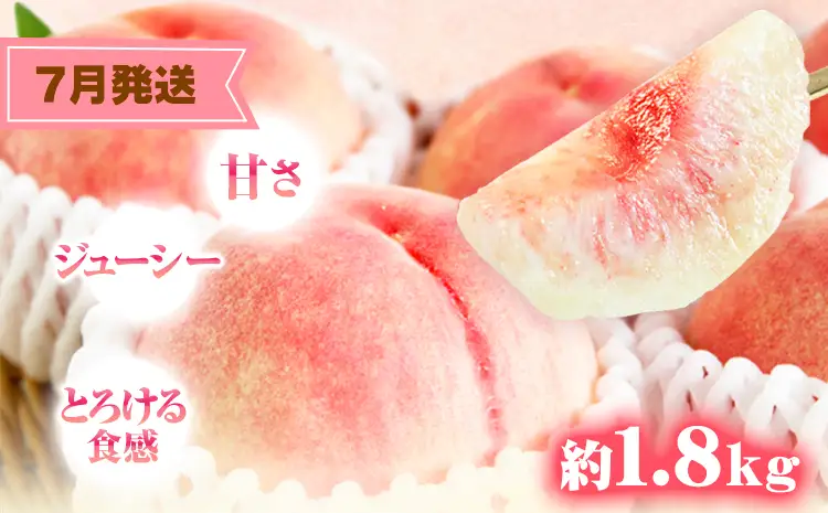 【定期】紀州和歌山産 旬のフルーツセット(あんぽ柿 レモン 桃) 