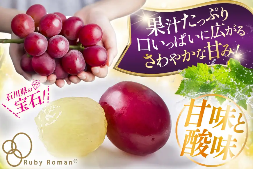 【期間限定発送】 超高級 ぶどう ルビーロマン 1房 約600g 化粧箱入 [モアショップヤマモト 石川県 宝達志水町 38601393]