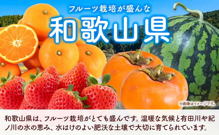 フルーツセット 果物セット(すいか 桃 ひらたねなし柿 みかん)【全4回】