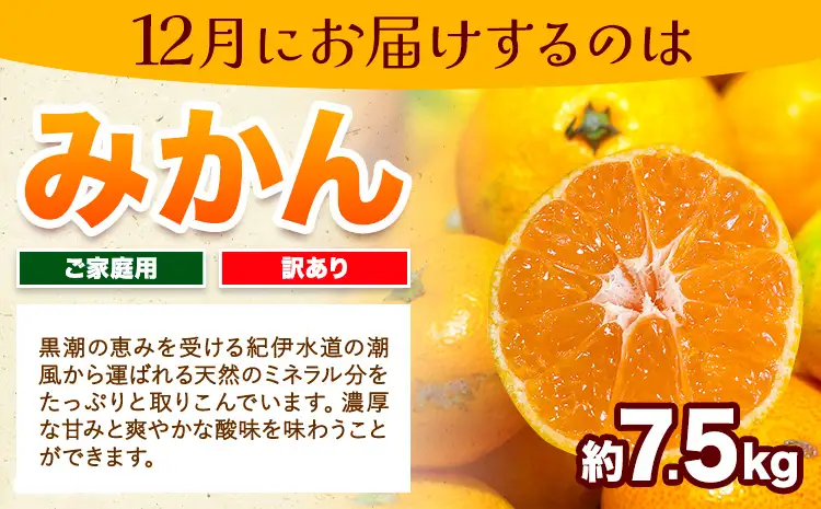 フルーツセット ご家庭用 訳あり果物セット (平核無柿 富有柿 みかん)【全３回】