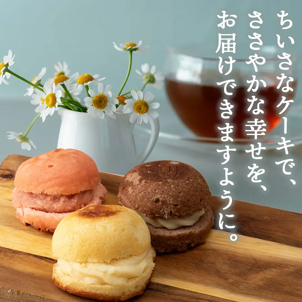 カスターケーキ プレーン・生チョコ・イチゴ12個セット【とらや菓子司】