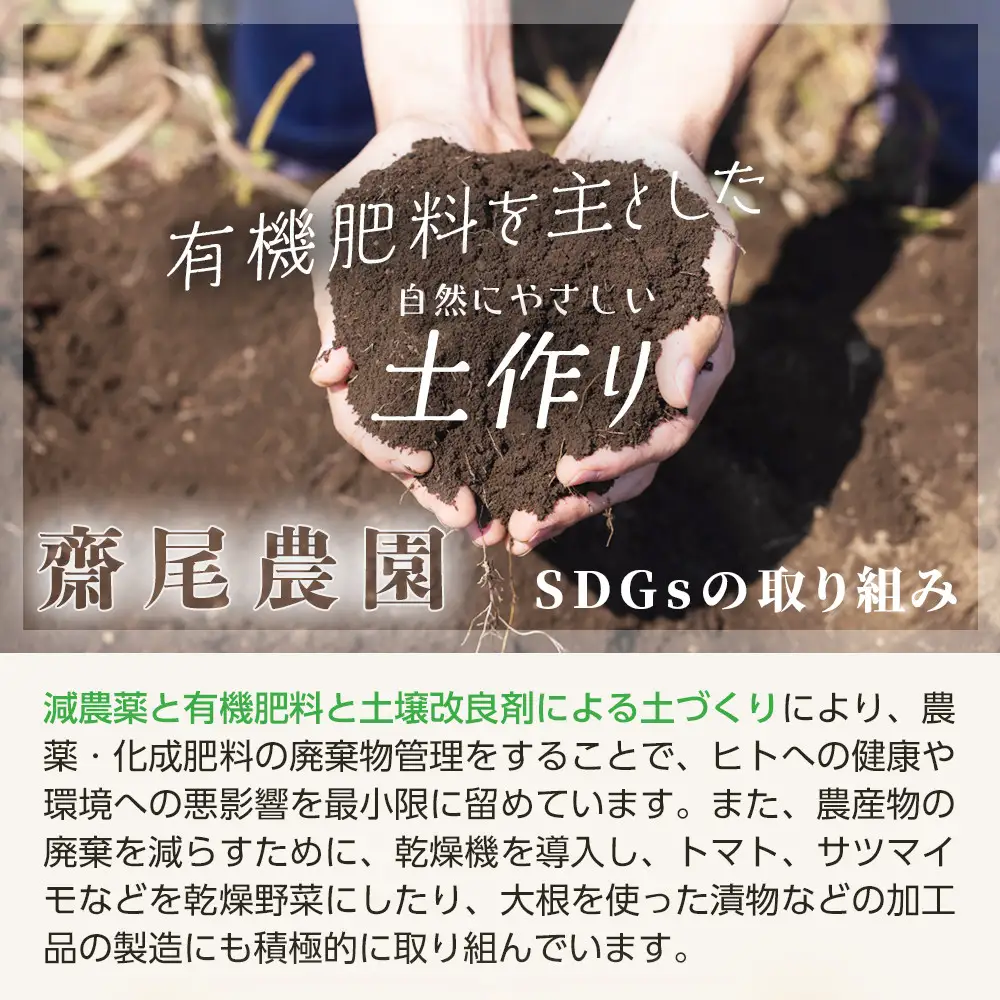968.安納芋の完熟干し芋5袋セット【安納芋 干し芋 芋 いも 低温乾燥 黄金色 5袋 セット 鳥取県 北栄町 おすすめ 人気 おやつ】