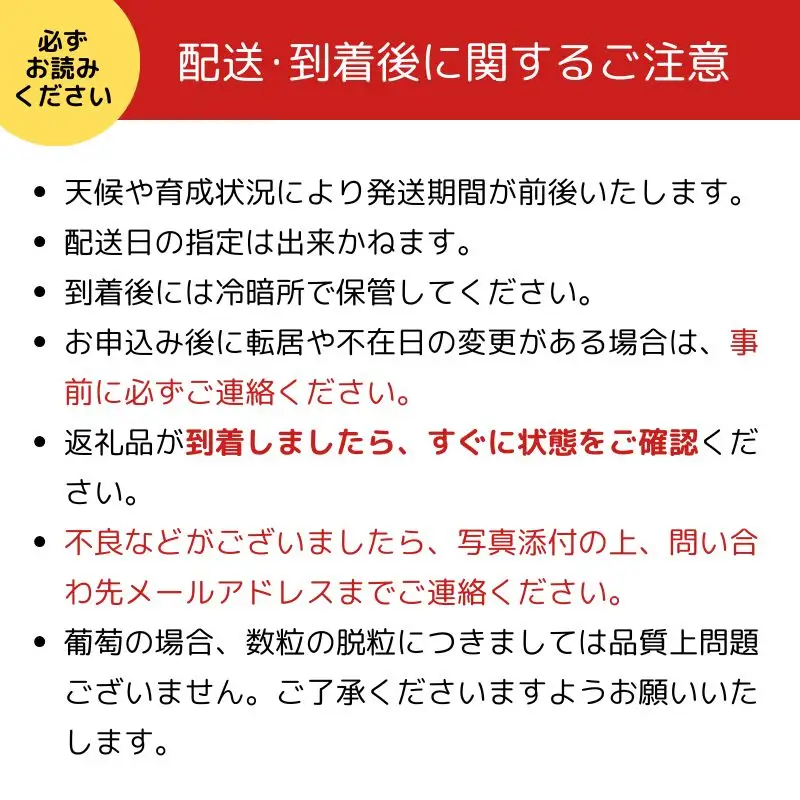 先行予約 シャインマスカット 約1.1kg 2房 京都産
