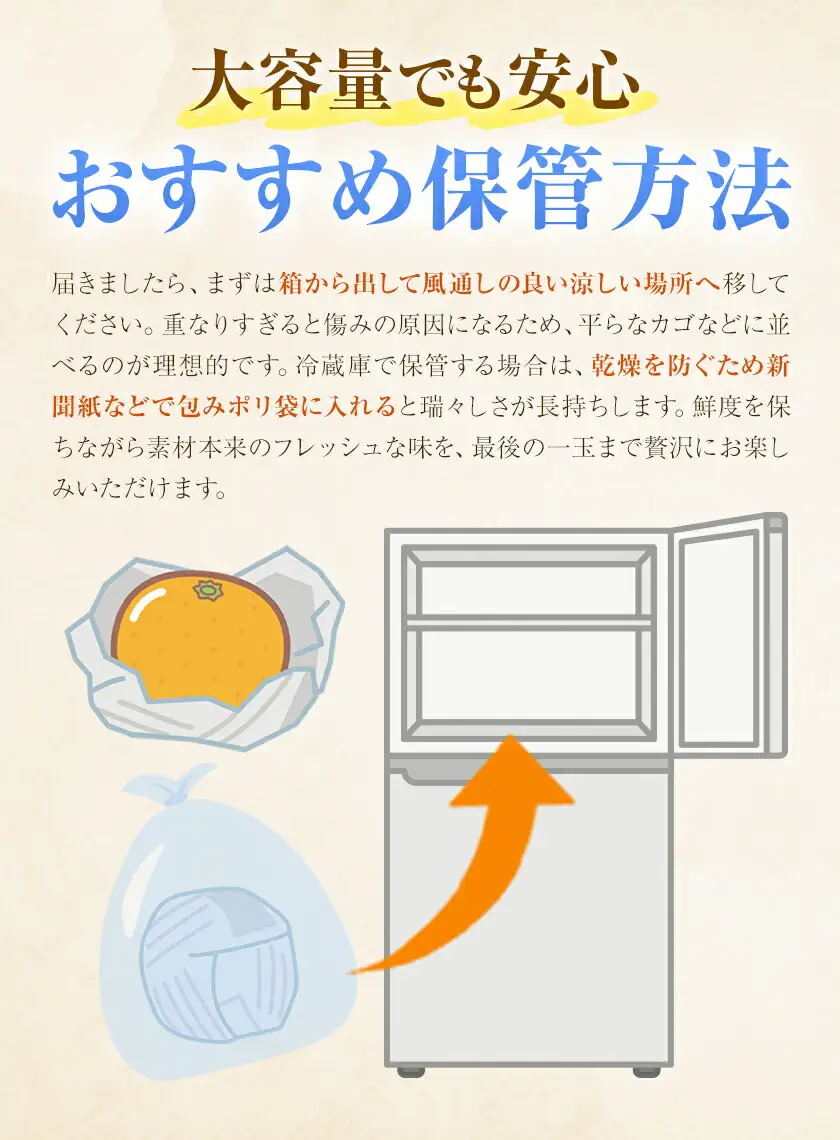 極早生みかん 5kg 高橋商店《9月下旬-10月中旬頃出荷》