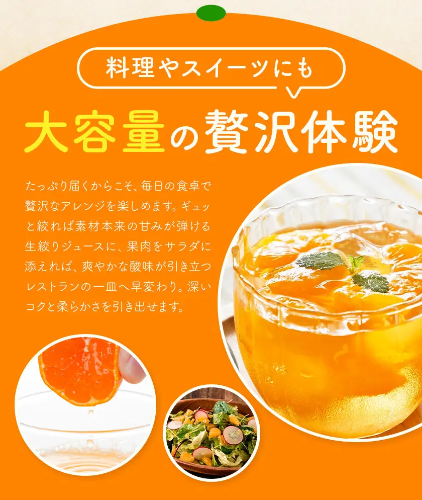 みかん10kg 高橋商店《10月下旬-1月中旬頃出荷》