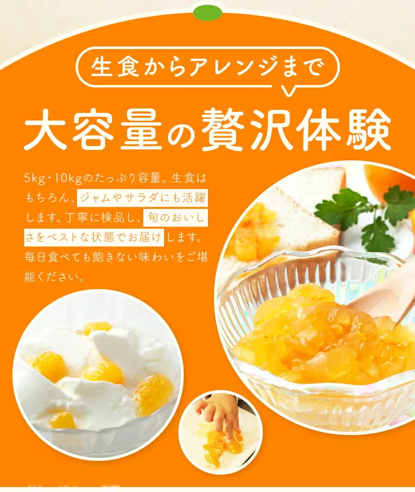 ポンカン10kg 高橋商店《12月上旬-2月中旬頃出荷》