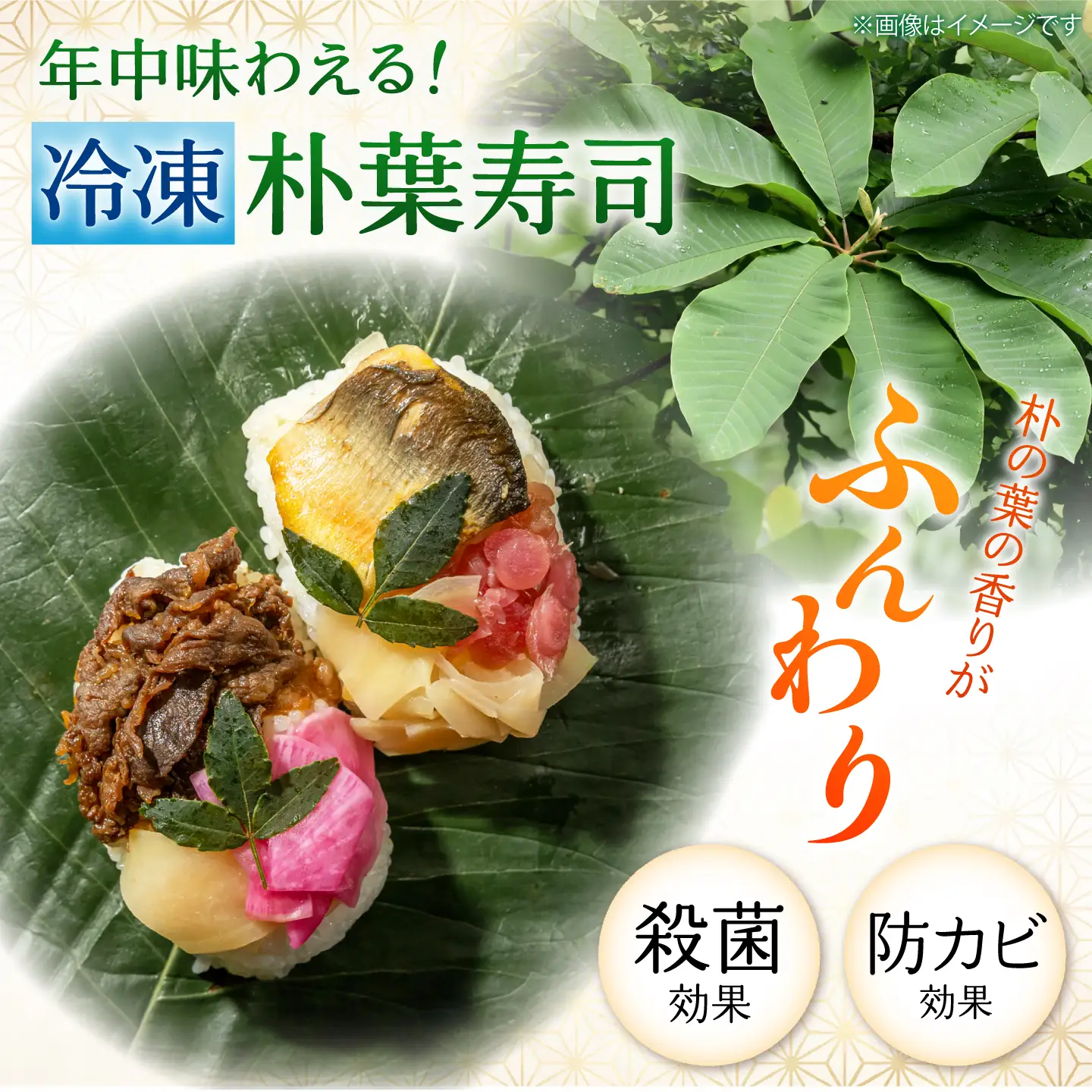 ほう葉寿司 5種8個セット（あゆ、さけ、さば 各2個／飛騨牛しぐれ煮、飛騨牛入り味噌 各1個）冷凍便 朴葉寿司 ほおば寿司 ほう葉寿司 寿司 郷土料理 飛騨牛 白川茶 岐阜県 白川町 / 一力屋[AWAE009]