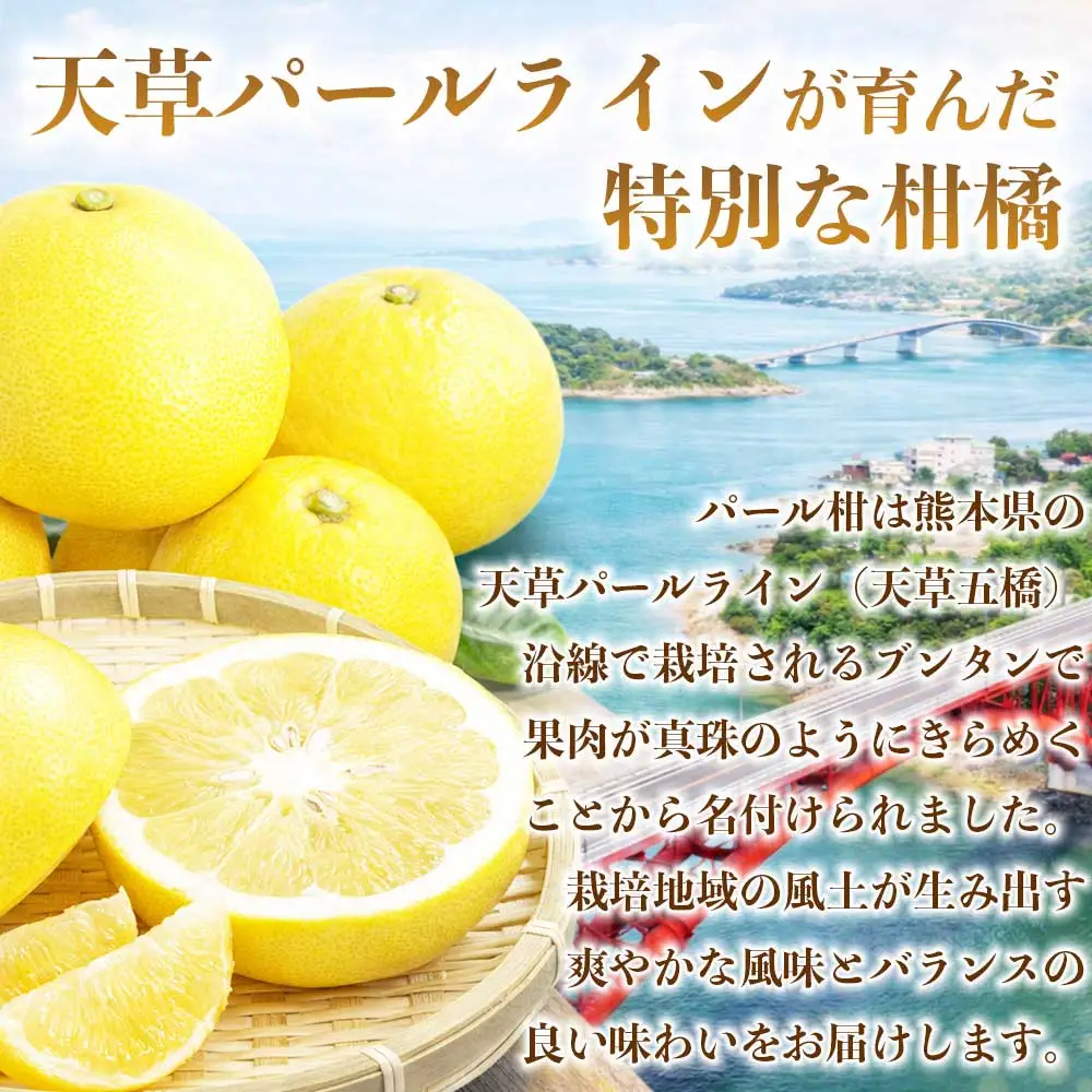 先行予約 訳あり パール柑 文旦   約4kg  【2027年2月上旬～2027年3月下旬配送予定】