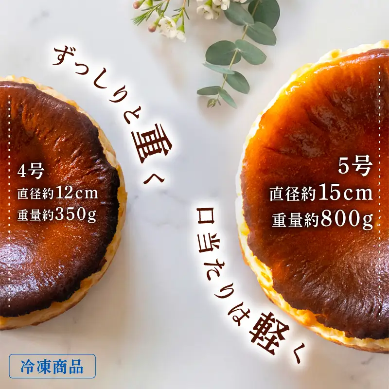 バスクチーズケーキ 5号 ケーキ ケーキ