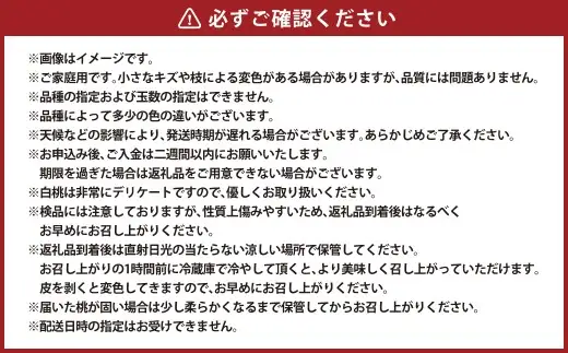 【 ご家庭用 】 岡山白桃 5～7玉 （ 約1.5kg以上 ） 白桃 もも モモ 桃 くだもの 果物 フルーツ 果実 果汁 果肉 甘み 香り 食感 国産 岡山県産 旬 【 2026年6月下旬～8月下旬発送予定 】