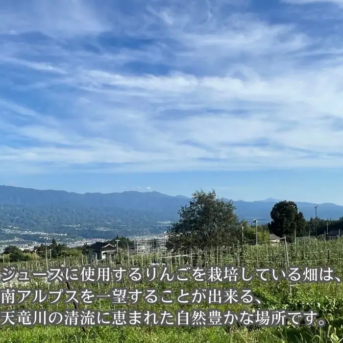 サンふじりんごジュース1L×6本