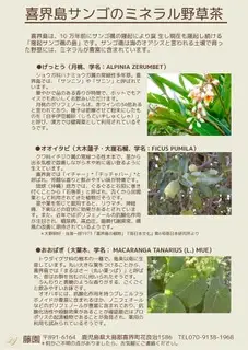 喜界島サンゴのミネラル野草茶「月桃茶」18g(３×６パック)