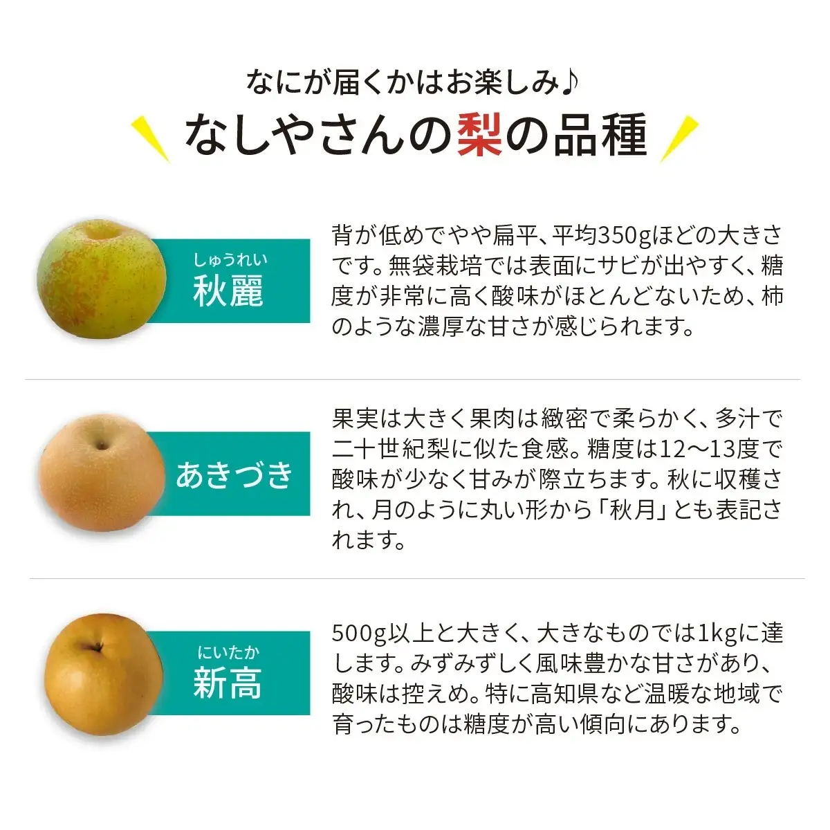 梨 おまかせ詰合せ 約3kg(6～9個入り) 先行予約 | 梨 埼玉県 東松山市