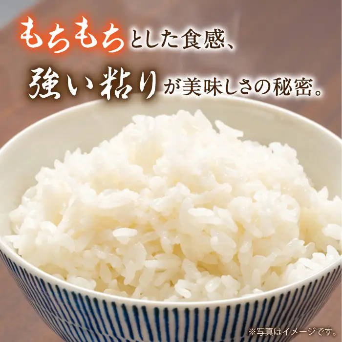 【3年連続特A獲得】長崎県産 精米 にこまる  9kg(5kg×1袋 2kg×2袋)/ 米 お米 こめ コメ 精米 小分け / 南島原市 / 大松屋商店[SDR018]