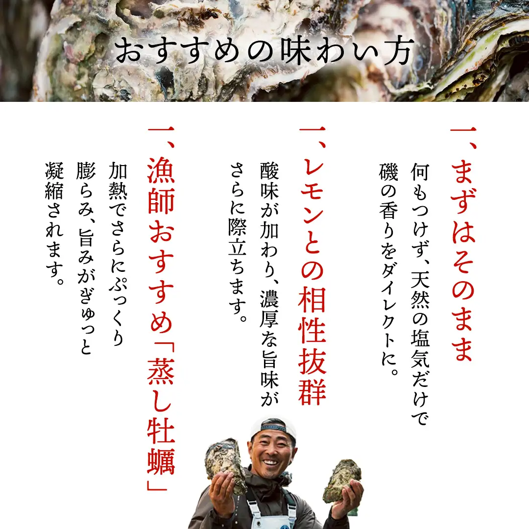天然・生食可 大・特大サイズ 岩牡蠣 5個 瀬戸内産  《ナイフ・軍手付き》 産地直送