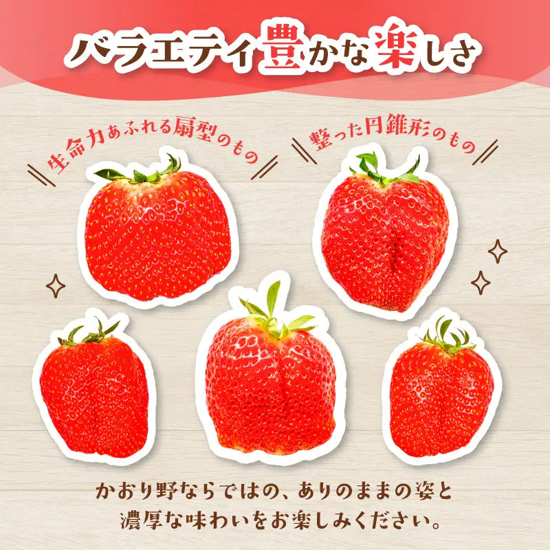 【2027年1月～発送予定】いちご かおり野 約270g×2パック drm005