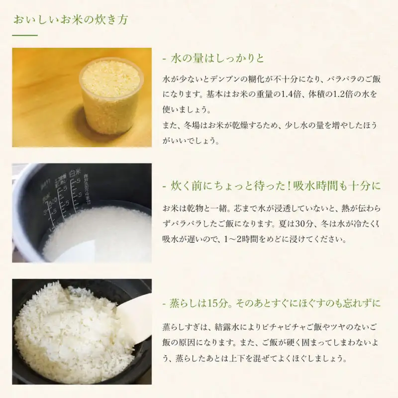 コシヒカリ 10kg 徳島県産 コシヒカリ 令和7年産