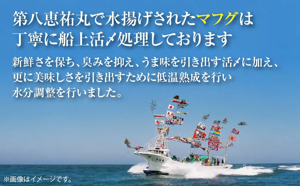 マフグたっぷり！ ふくカレー×5【北海道オホーツク海産フグ】 SRMN028