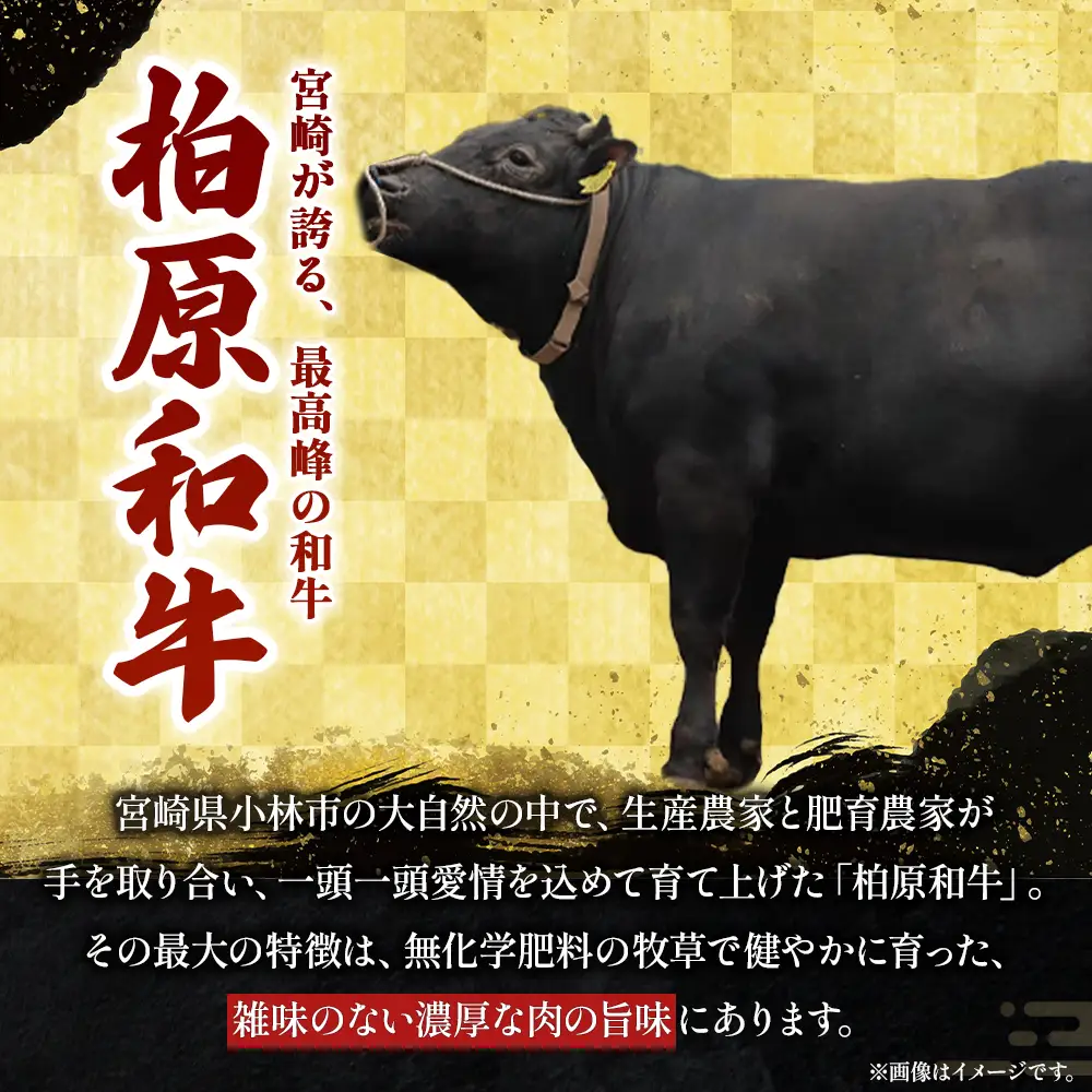幻の和牛　「柏原和牛」　肉塊（ハンバーグ）2.6kg（国産 黒毛和牛 宮崎牛 牛肉 ハンバーグ 冷凍 宮崎県 小林市）