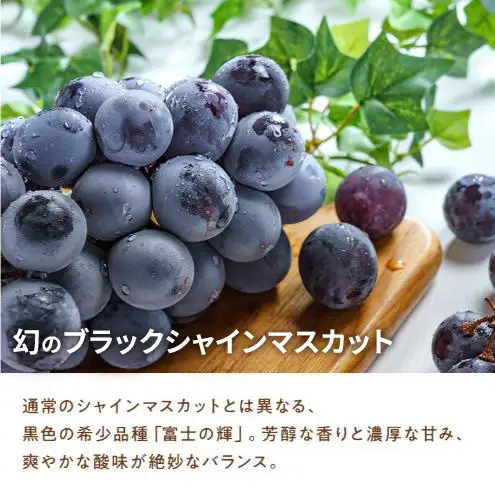 【期間限定】【静岡県浜松市三ヶ日産】高平農園のブラックシャインマスカット「富士の輝」1房（約700g）化粧箱入り ぶどう 夏 大粒 ブドウ 贈答 ギフト 静岡 浜松市【配送不可：離島】