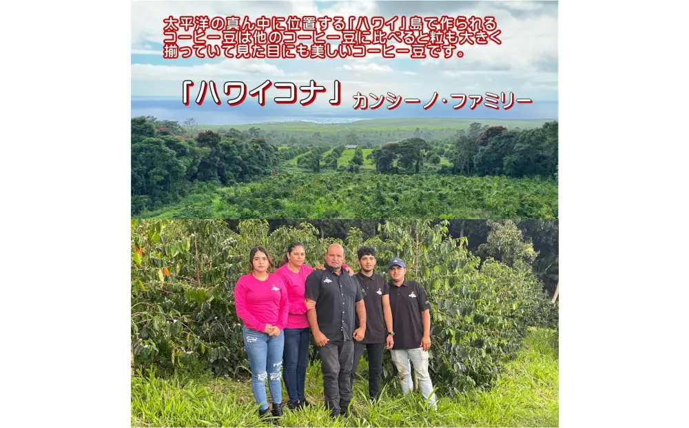 【中挽き】「ハワイコナ」（200g）