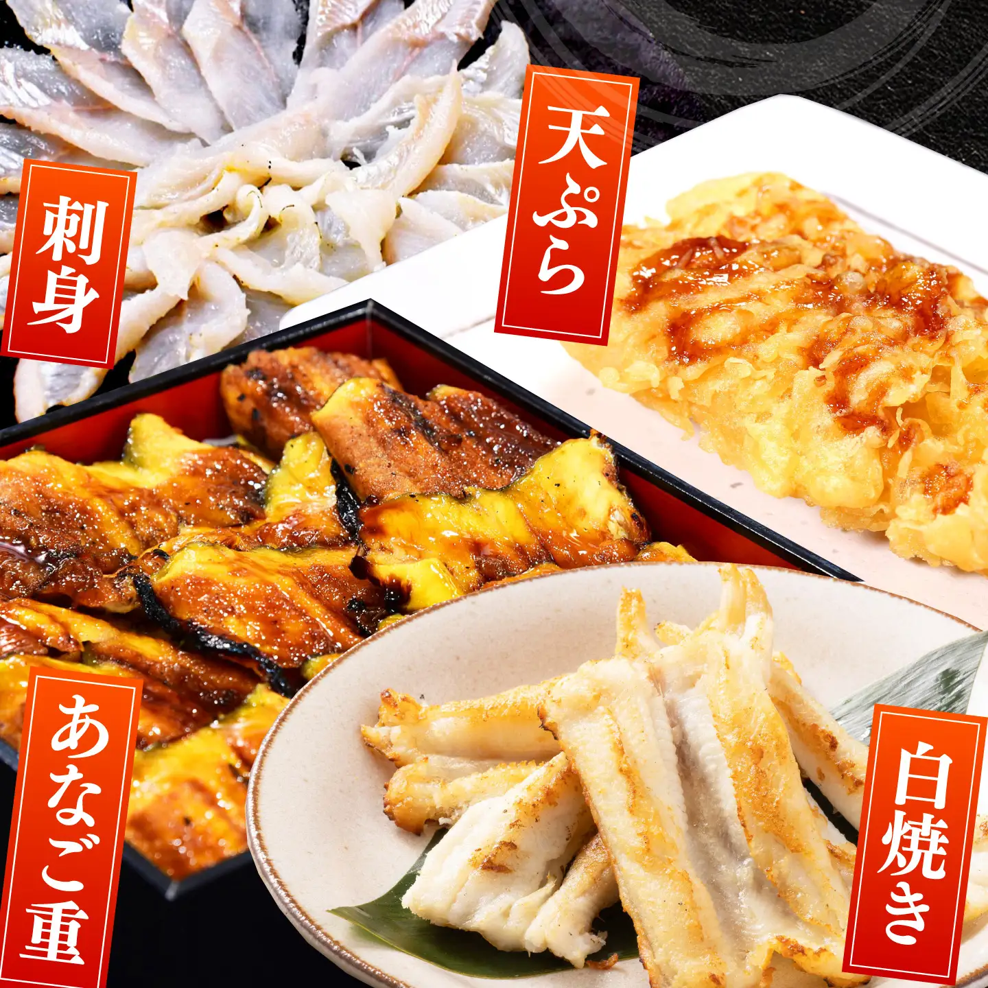 【対馬西沖あなご堪能セット】 刺身120g 開き500g×2 《対馬市》【すし処慎一】 あなご 国産 肉厚 穴子 アナゴ 新鮮 鮮魚 冷凍[WCO006]