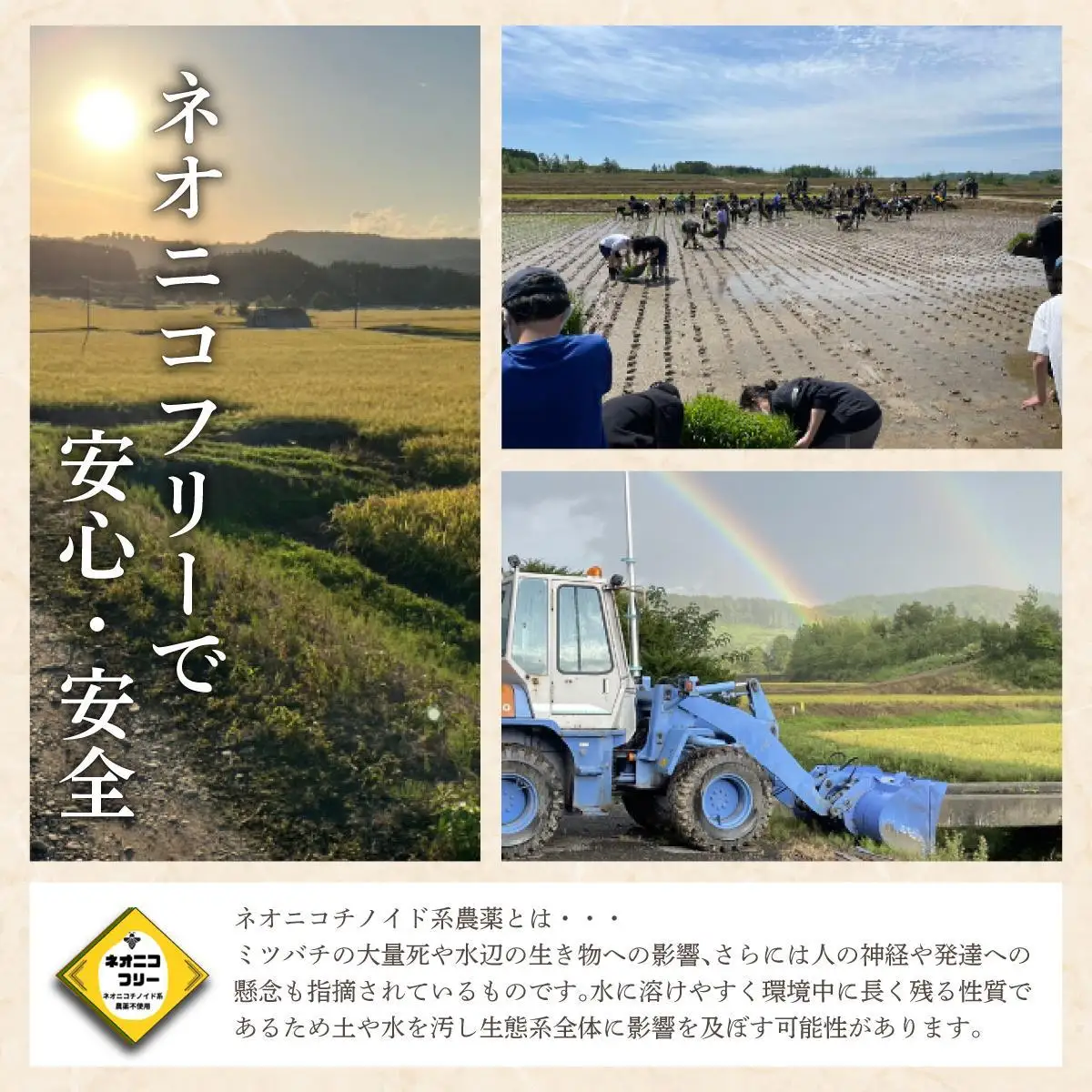 令和7年産 アグリプロ未来のゆめぴりか 10kg(5kg×2袋)【a178-002】