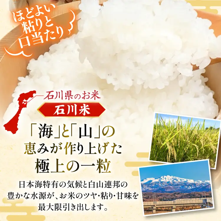 【ふるなび限定】 米 定期便 石川米 こしひかり 10kg 12回 FN-Limited-SP