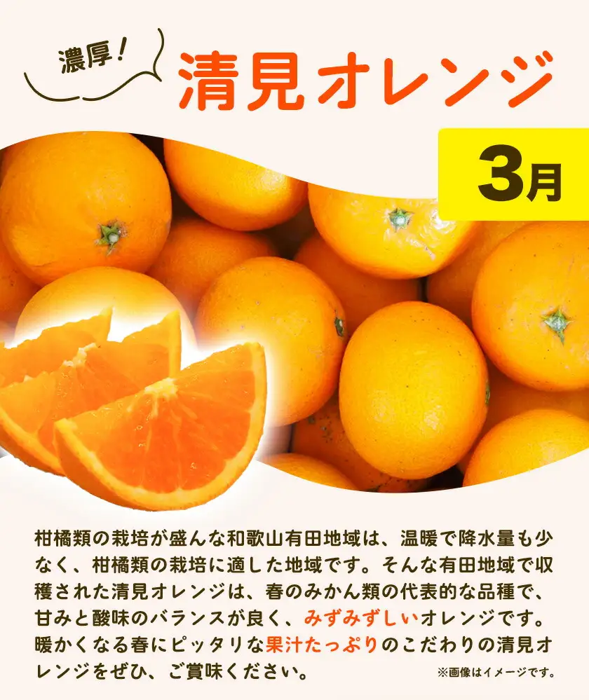 紀州 和歌山産 旬の ご家庭用 柑橘 セット L  (みかん 不知火 清見)【全３回】 株式会社魚鶴